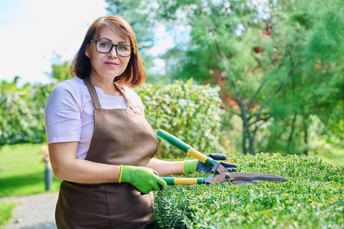 Gartenpflege Jahreskreis: Was wann machen