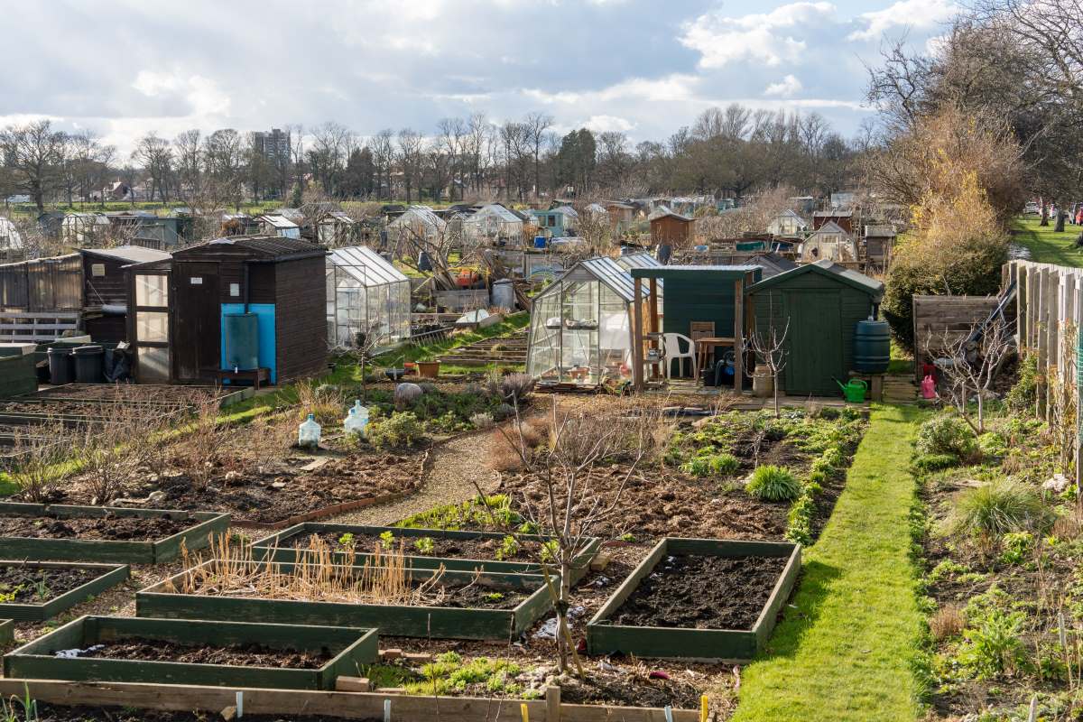 Schrebergarten in Freudenstadt: Pacht, Regeln und alles Wiss